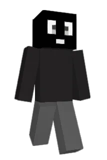 ENVYBRAY Minecraft avatar full body