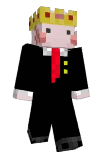 ERGIEEE Minecraft avatar full body