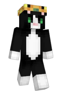 ERR_2839 Minecraft avatar full body