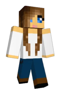 ERS2903 Minecraft avatar full body