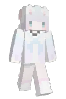 ERinZin Minecraft avatar full body