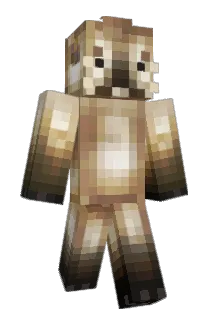 ESAT_ Minecraft avatar full body