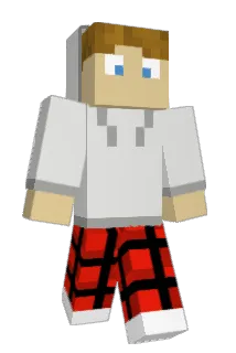 ETSandys Minecraft avatar full body