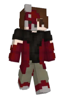 ET_69 Minecraft avatar full body