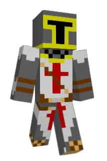 EVERYONE_ELSE Minecraft avatar full body