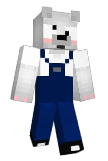 EVERY_ONE_ Minecraft avatar full body