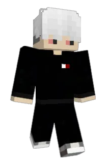 EVRR_ Minecraft avatar full body