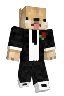 EXYPET Minecraft avatar full body