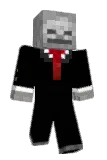 E_33 Minecraft avatar full body