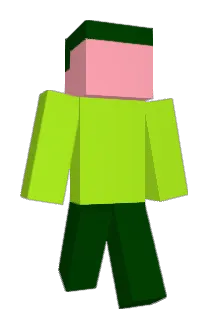 E_RAD Minecraft avatar full body