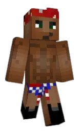 Custom render preview