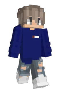 E______________3 Minecraft avatar full body