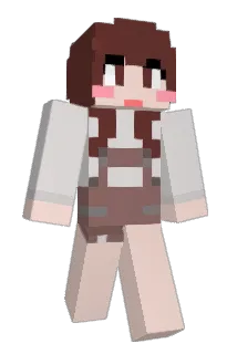 E_the Minecraft avatar full body