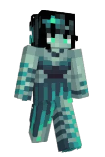 Echinaceadae Minecraft avatar full body