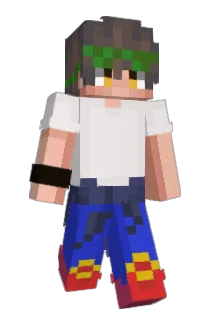 Echo009 Minecraft avatar full body