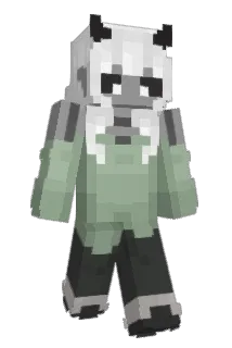 Echo_The_Elf Minecraft avatar full body