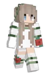Echu_ Minecraft avatar full body