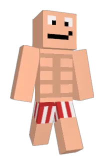 Edenpi Minecraft avatar full body
