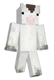 Edina2607 Minecraft avatar full body