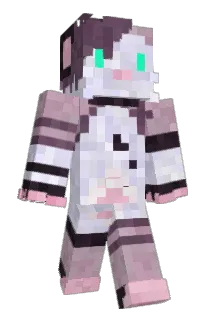 Edivad2101 Minecraft avatar full body