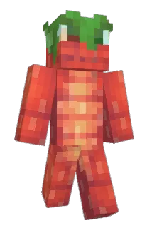 EdoardoEichberg Minecraft avatar full body