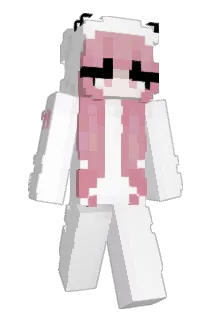 Eenzijdig Minecraft avatar full body