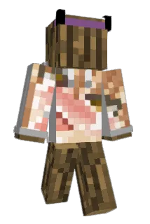 Eetuard_ Minecraft avatar full body