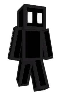 Ehepaille Minecraft avatar full body