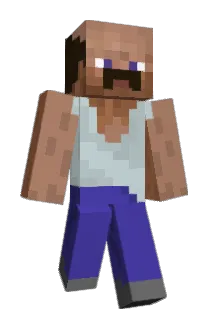 EhrenloserJunge Minecraft avatar full body