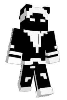 EinEinsamerRabe Minecraft avatar full body