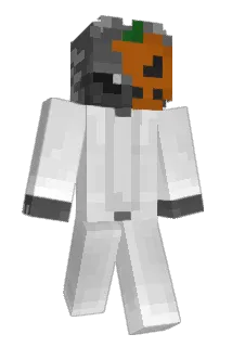 EinGekko Minecraft avatar full body