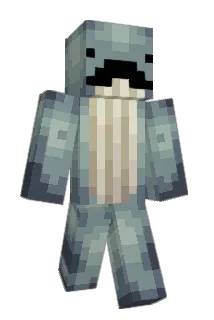 EinWalfisch Minecraft avatar full body