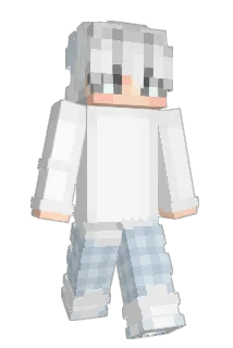 Eindeutiger Minecraft avatar full body