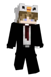 EinfachNurMichi Minecraft avatar full body