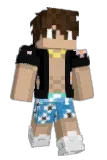 Einfachfloxi Minecraft avatar full body