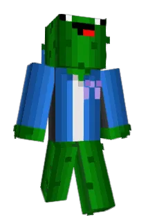Einlegegurke Minecraft avatar full body