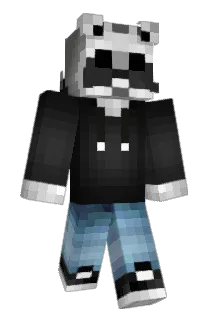 Eirashot Minecraft avatar full body
