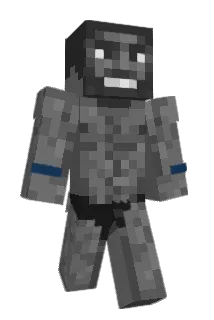 EisRegenbogen29 Minecraft avatar full body