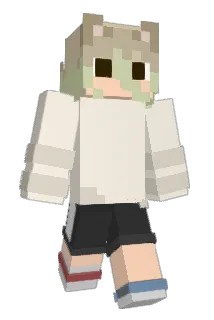Ekubao Minecraft avatar full body