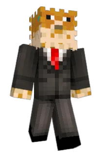 Ekz113 Minecraft avatar full body