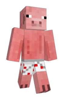 ElCamara44 Minecraft avatar full body