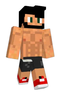 El_Funko Minecraft avatar full body