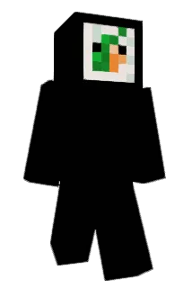 El_sushi_ Minecraft avatar full body