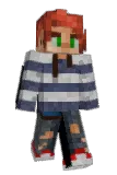 Elfsteel Minecraft avatar full body