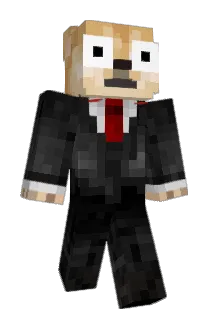 Eli_COOL64 Minecraft avatar full body