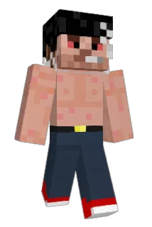 Elibrilas Minecraft avatar full body