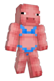 EliteKrijger1 Minecraft avatar full body