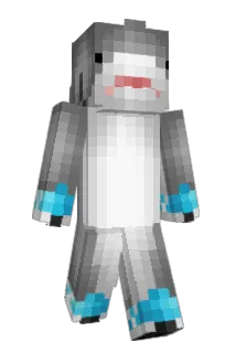Elite_3540 Minecraft avatar full body