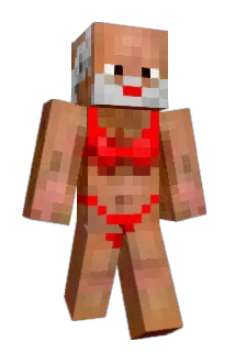 Elitegamerxt Minecraft avatar full body