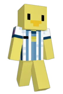 Elliptication Minecraft avatar full body